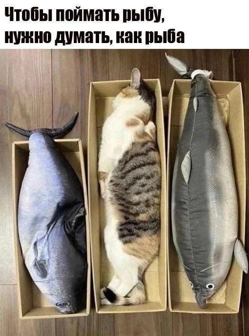 *Чтобы поймать рыбу, нужно думать, как рыба*