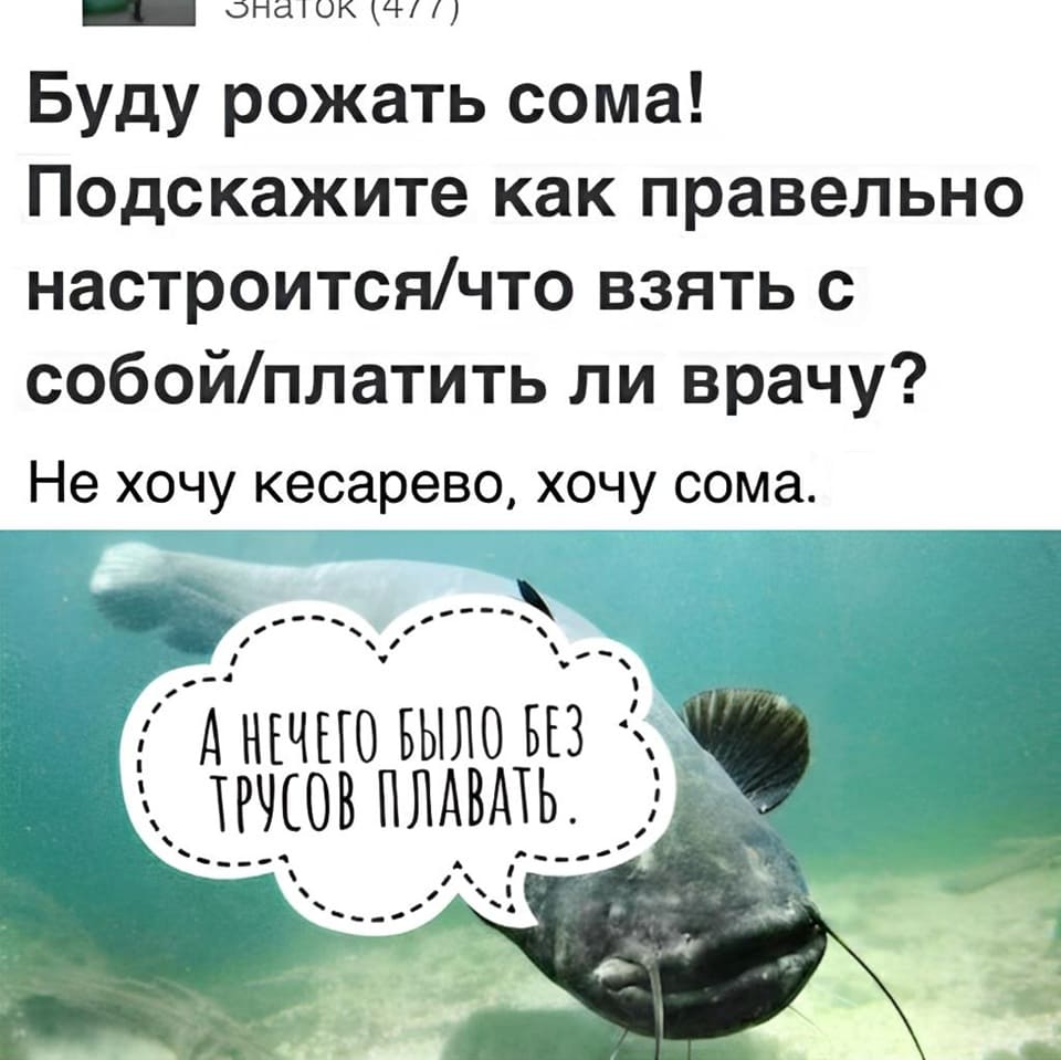 Буду рожать сома! Подскажите как правельно настроится/что взять с собой/ платить ли врачу? Не хочу кесарево, хочу сома.
*А НЕЧЕГО БЫЛО БЕЗ ТРУСОВ ПЛАВАТЬ*