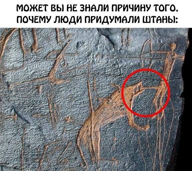 *МОЖЕТ ВЫ НЕ ЗНАЛИ ПРИЧИНУ ТОГО, ПОЧЕМУ ЛЮДИ ПРИДУМАЛИ ШТАНЫ*