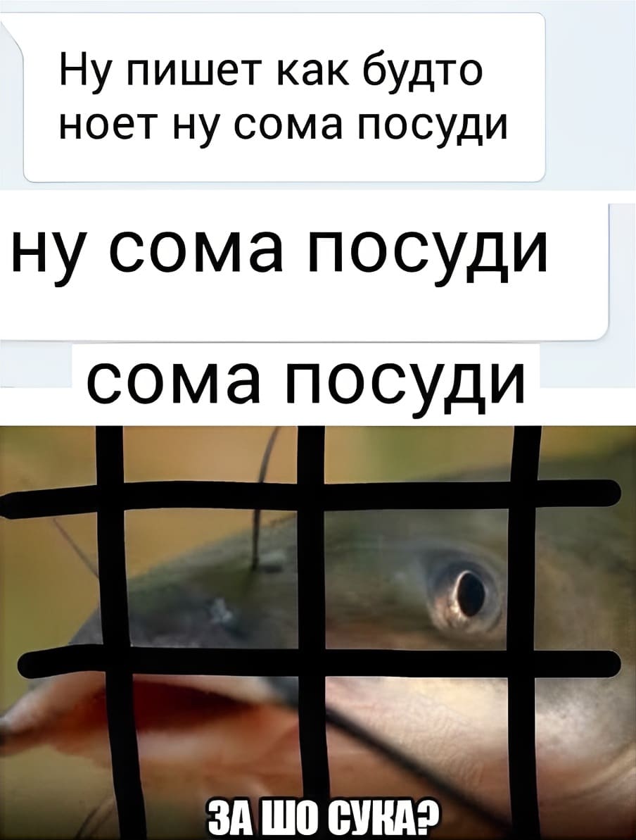 Ну пишет как будто
ноет ну сома посуди
ну сома посуди
сома посуди