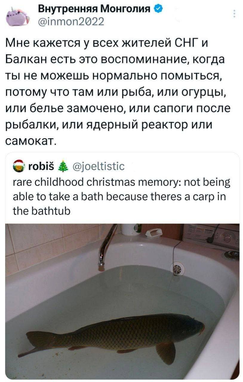 Мне кажется у всех жителей СНГ и Балкан есть это воспоминание, когда ты не можешь нормально помыться, потому что там или рыба, или огурцы, или белье замочено, или сапоги после рыбалки, или ядерный реактор или самокат.