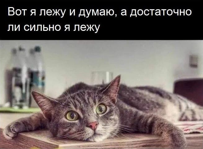 *Вот я лежу и думаю, а достаточно ли сильно я лежу*