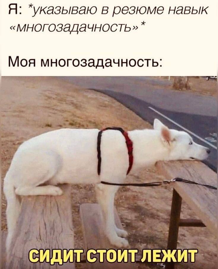Я: *указываю в резюме навык «многозадачность» *
Моя многозадачность: *Сидит — Стоит — Лежит*