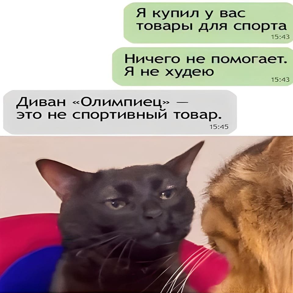– Я купил у вас товары для спорта. Ничего не помогает. Я не худею.
– Диван «Олимпиец» это не спортивный товар.