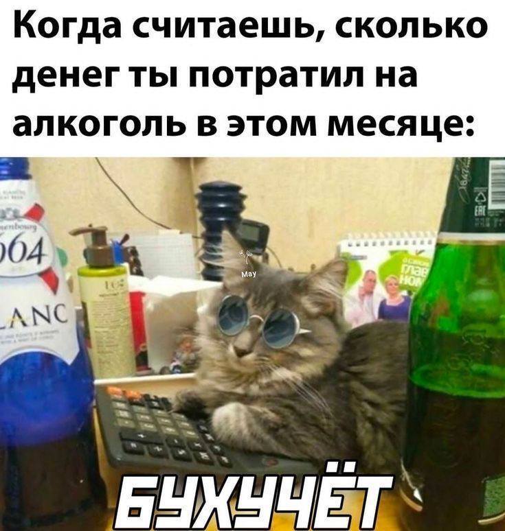 Когда считаешь, сколько денег ты потратил на алкоголь в этом месяце: «БУХУЧЁТ»