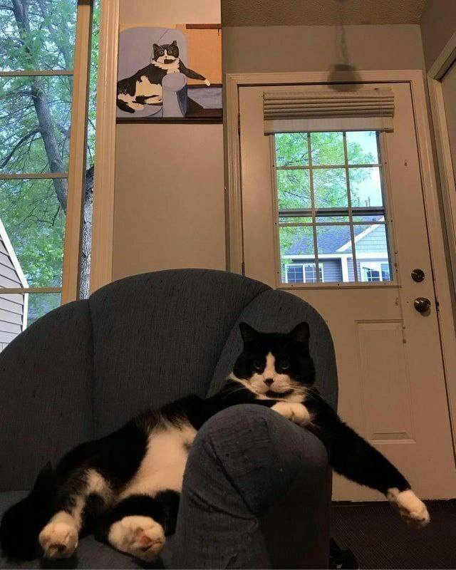 *Котопортрет*