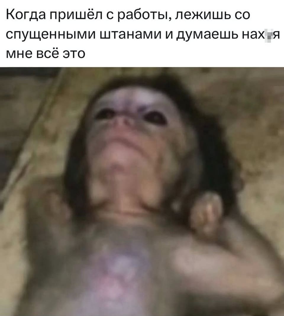 Когда пришёл с работы, лежишь со спущенными штанами и думаешь нах*я мне всё это...