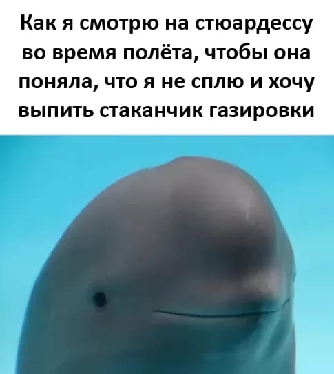 Как я смотрю на стюардессу во время полёта, чтобы она поняла, что я не сплю и хочу выпить стаканчик газировки.