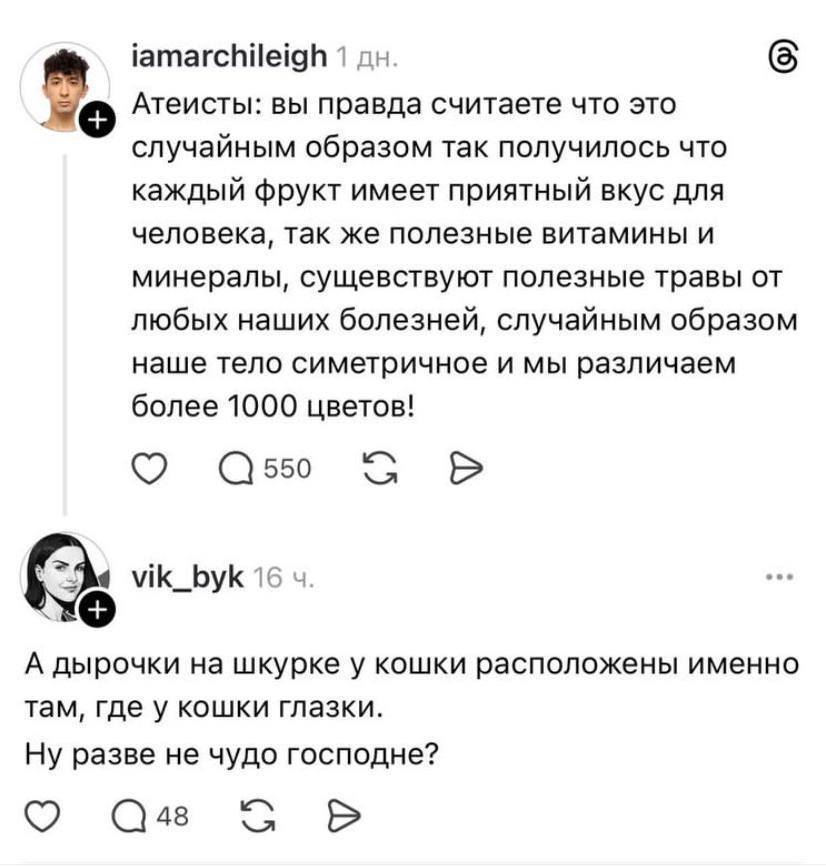 – Атеисты: вы правда считаете что это случайным образом так получилось что каждый фрукт имеет приятный вкус для человека, так же полезные витамины и минералы, существуют полезные травы от любых наших болезней, случайным образом наше тело симметричное и мы различаем более 1000 цветов!
– А дырочки на шкурке у кошки расположены именно там, где у кошки глазки. Ну разве не чудо господне?