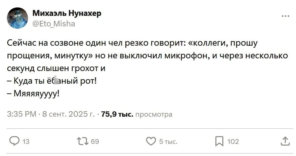 Сейчас на созвоне один чел резко говорит: «коллеги, прошу прощения, минутку» но не выключил микрофон, и через несколько секунд слышен грохот и:
— Куда ты ёб*ный рот!
— Мяяяяуууу!
