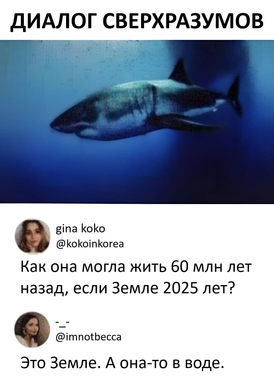 *ДИАЛОГ СВЕРХРАЗУМОВ*
– Как она (акула) могла жить 60 млн. лет назад, если Земле 2025 лет?
– Это Земле. А она-то (акула) в воде.
