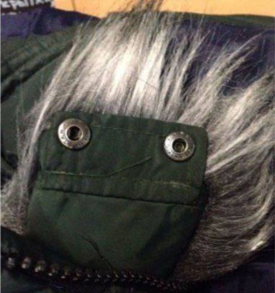 *Куртка смотрит прямо тебе в глаза*