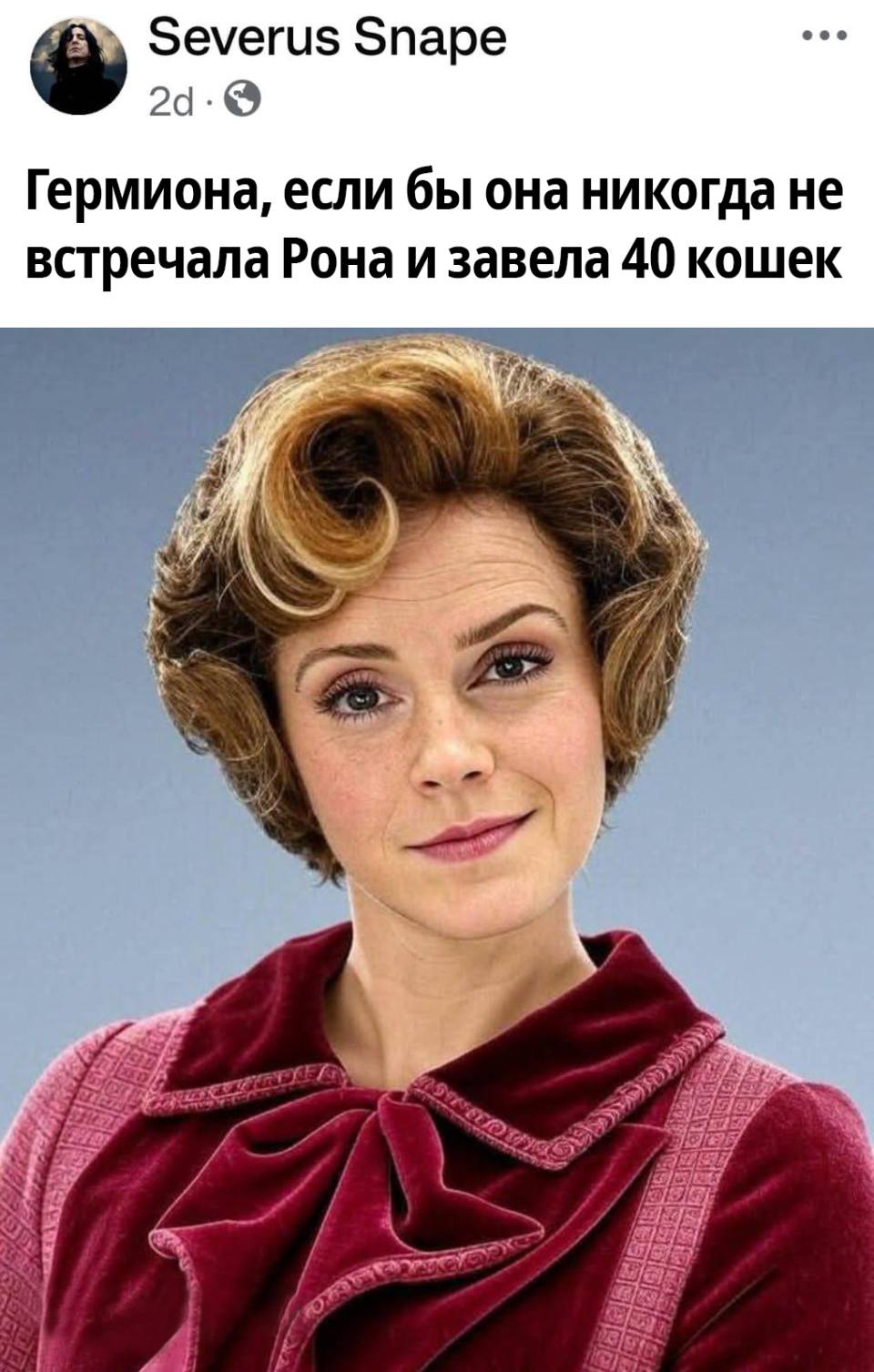 *Гермиона, если бы она никогда не встречала Рона и завела 40 кошек*