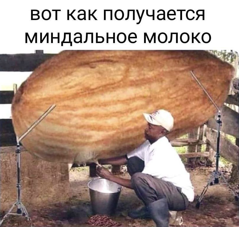 *Вот так получается (добывается) Миндальное молоко*