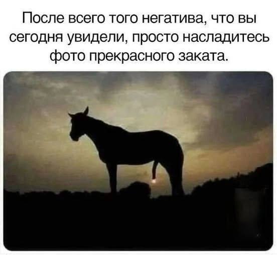 *После всего того негатива, что вы сегодня увидели, просто насладитесь фото прекрасного заката.*