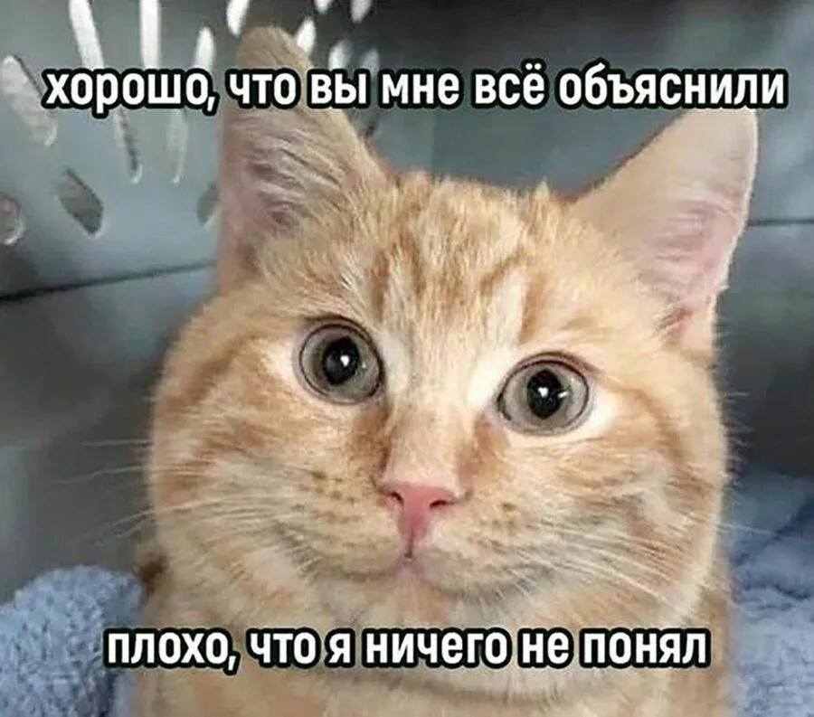 Хорошо, что вы мне всё объяснили.
Плохо, что я ничего не понял.