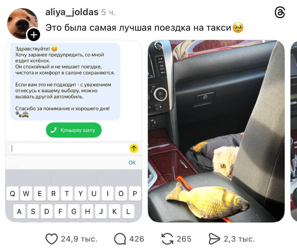 Это была самая лучшая поездка на такси
– Здравствуйте! Хочу заранее предупредить, со мной ездит котёнок. Он спокойный и не мешает поездке, чистота и комфорт в салоне сохраняются. Если вам это не подходит – с уважением отнесусь к вашему выбору, можно вызвать другой автомобиль. Спасибо за понимание и хорошего дня!