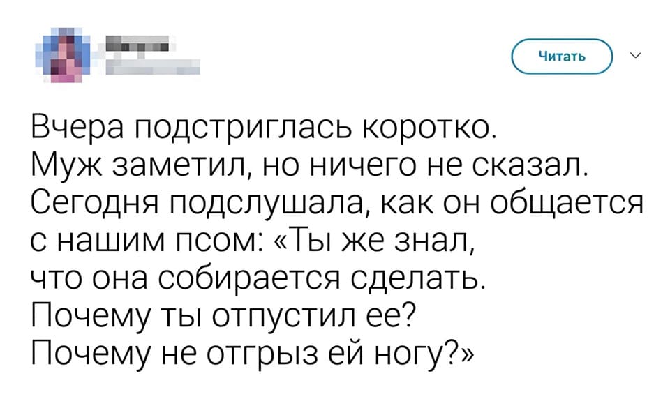 Вчера подстриглась коротко.
Муж заметил, но ничего не сказал.
Сегодня подслушала, как он общается с нашим псом: «Ты же знал, что она собирается сделать. Почему ты отпустил её? Почему не отгрыз ей ногу?»