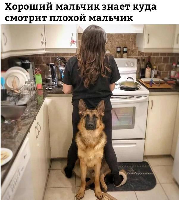 *Хороший мальчик знает куда смотрит плохой мальчик*