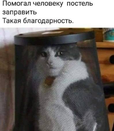 Помогал человеку постель заправить.
Такая благодарность.