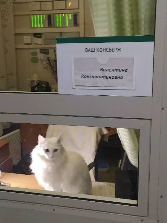 ВАШ КОНСЬЕРЖ: Валентина Константиновна
