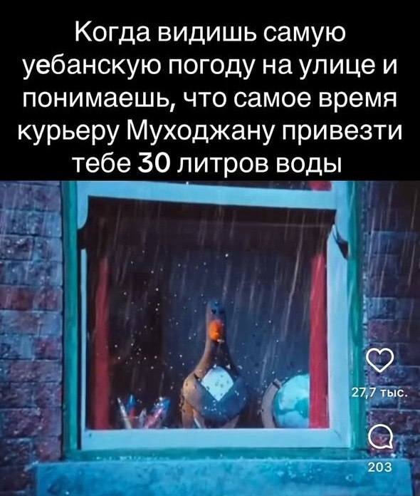 Когда видишь самую уебанскую погоду на улице и понимаешь, что самое время курьеру Муходжану привезти тебе 30 литров воды.
