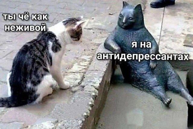 – Чё как неживой?
– Я на антидепрессантах.