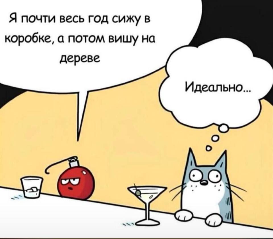 Ёлочная игрушка:
– Я почти весь год сижу в коробке, а потом вишу на дереве.
Кот:
– Идеально...