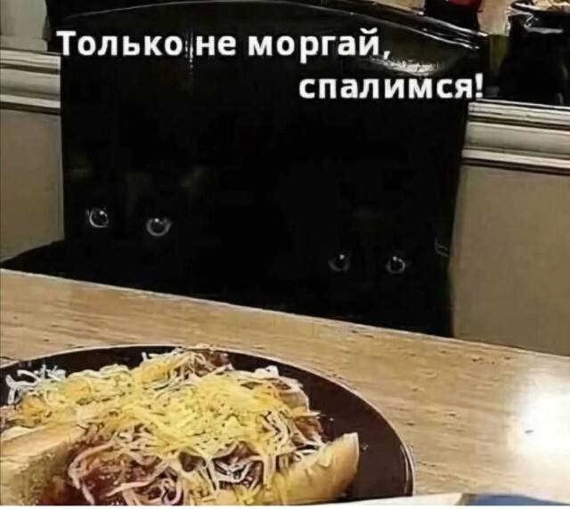 – Только не моргай, а то спалимся... =)