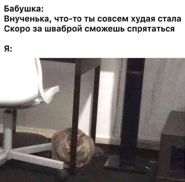 Бабушка: Внученька, что-то ты совсем худая стала. Скоро за шваброй сможешь спрятаться.
Я: *прячусь за шваброй*