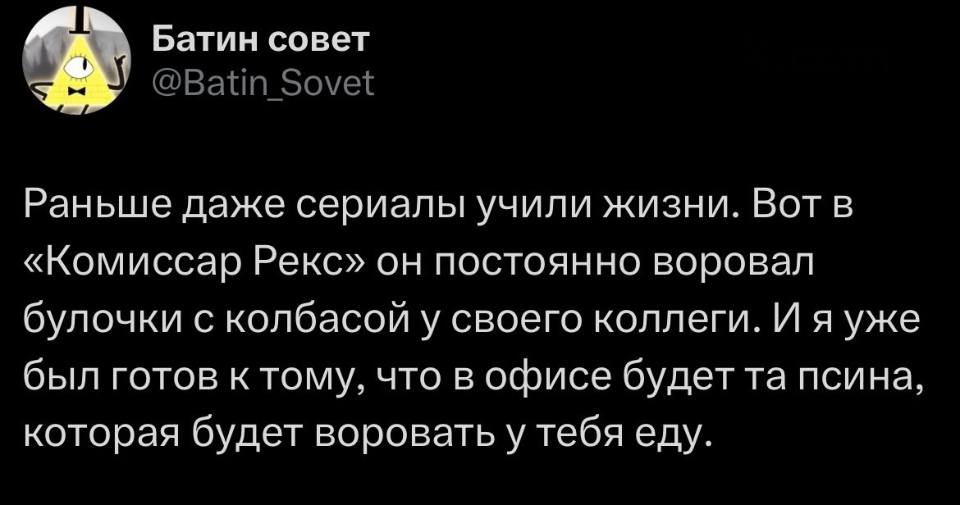Раньше даже сериалы учили жизни. Вот в «Комиссар Рекс» он постоянно воровал булочки с колбасой у своего коллеги. И я уже был готов к тому, что в офисе будет та псина, которая будет воровать у тебя еду.
