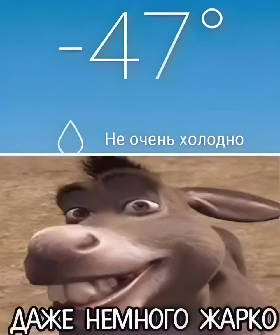 Температура воздуха: -47
*Не очень холодно*
– Даже немножко жарко...