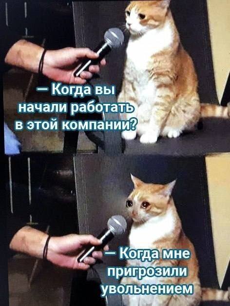 – Когда вы начали работать в этой компании?
– Когда мне пригрозили, увольнением.