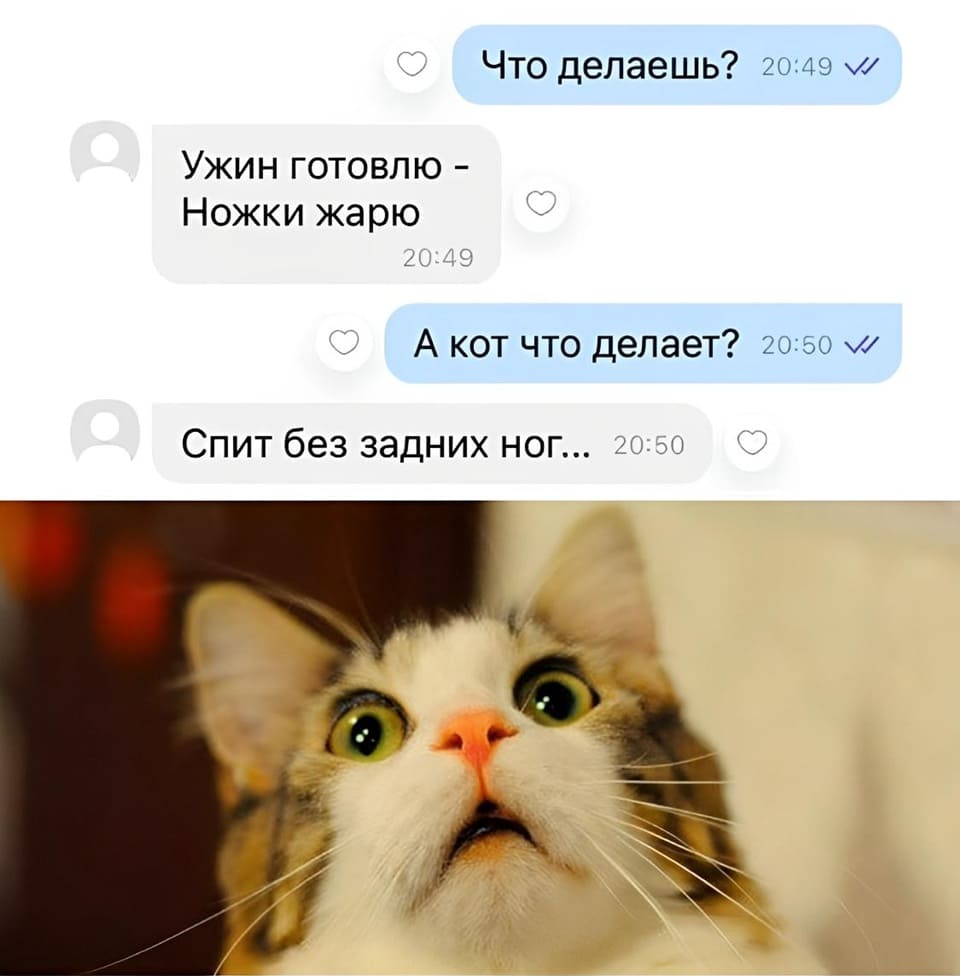 – Что делаешь?
– Ужин готовлю — ножки жарю.
– А кот что делает?
– Спит без задних ног...