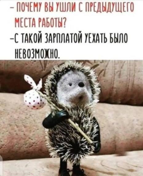 – Почему вы ушли с предыдущего места работы?
– Такой зарплатой уехать было невозможно.