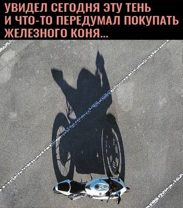 *УВИДЕЛ СЕГОДНЯ ЭТУ ТЕНЬ И ЧТО-ТО ПЕРЕДУМАЛ ПОКУПАТЬ ЖЕЛЕЗНОГО КОНЯ...*