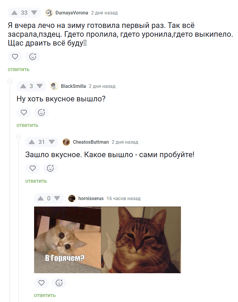 – Я вчера лечо на зиму готовила первый раз. Так всё засрала, пздец. Где-то пролила, где-то уронила, где-то выкипело. Щас драить всё буду!
– Ну хоть вкусное вышло?
– Зашло вкусное. Какое вышло — сами пробуйте!