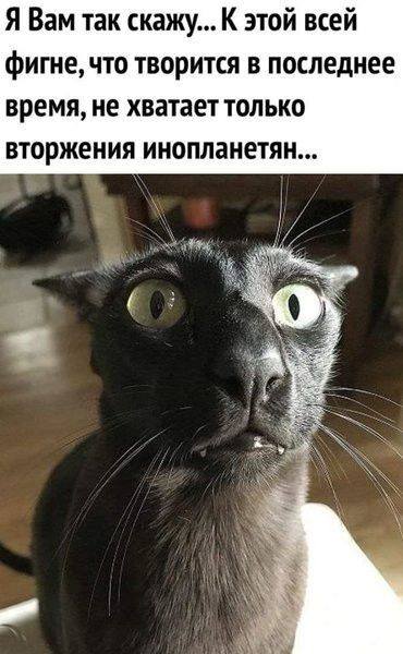 Я Вам так скажу... К этой всей фигне, что творится в последнее время, не хватает только вторжения инопланетян...