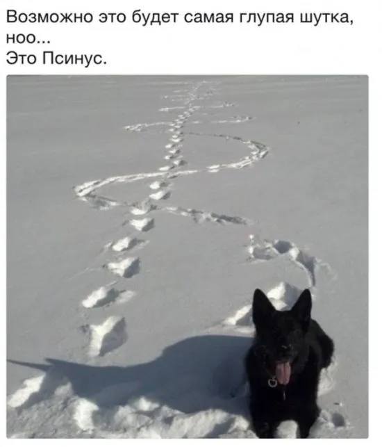 Возможно это будет самая глупая шутка,
HOO... Это Псинус.