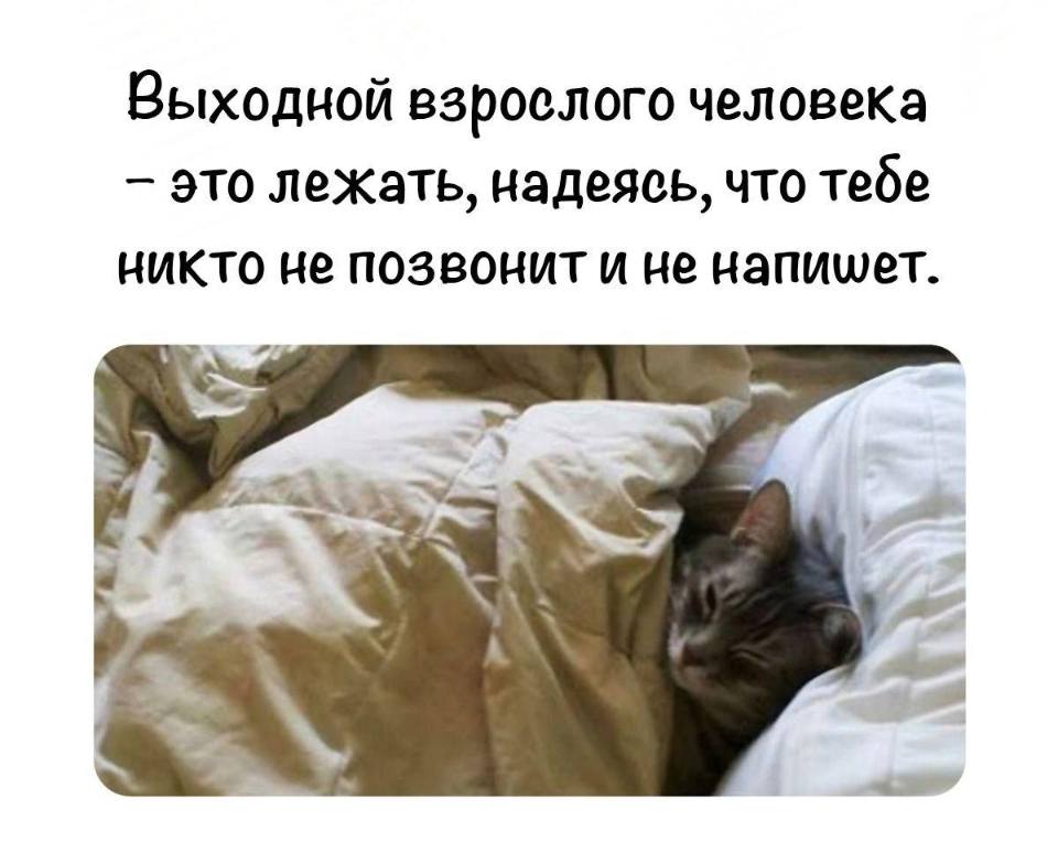 Выходной во взрослой жизни — это лежать, надеясь на то, что тебе сегодня никто не позвонит и не напишет.