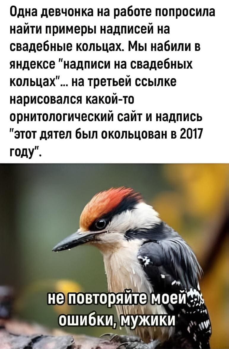 Одна девчонка на работе попросила найти примеры надписей на свадебные кольцах. Мы набили в Яндексе «надписи на свадебных кольцах». На третьей ссылке нарисовался какой-то орнитологический сайт и надпись «Этот дятел был окольцован в 2017 году»