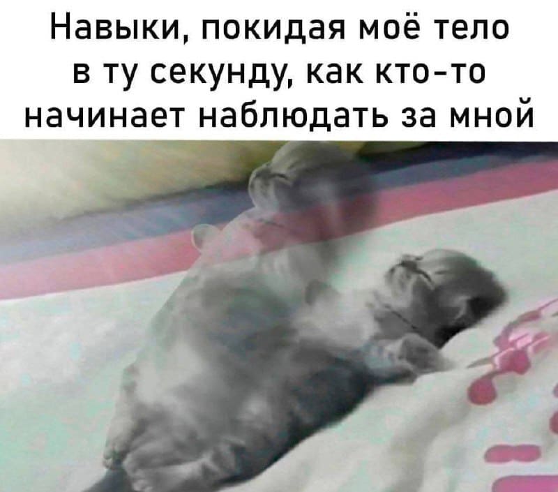 *Навыки, покидая моё тело в ту секунду, как кто-то начинает наблюдать за мной*