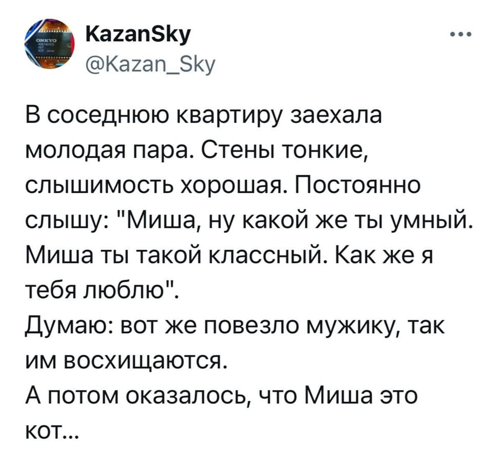 В соседнюю квартиру заехала молодая пара. Стены тонкие, слышимость хорошая. Постоянно слышу: «Миша, ну какой же ты умный. Миша ты такой классный. Как же я тебя люблю!».
Думаю: вот же повезло мужику, так им восхищаются.
А потом оказалось, что Миша это кот...