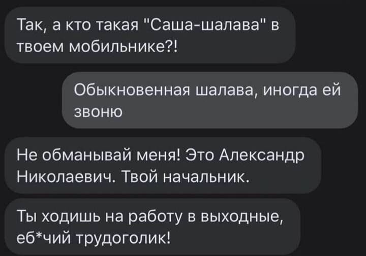 – Так, а кто такая «Саша-шалава» в твоём мобильнике?!
– Обыкновенная шалава, иногда ей звоню.
– Не обманывай меня! Это Александр Николаевич. Твой начальник. Ты ходишь на работу в выходные, еб*чий трудоголик!