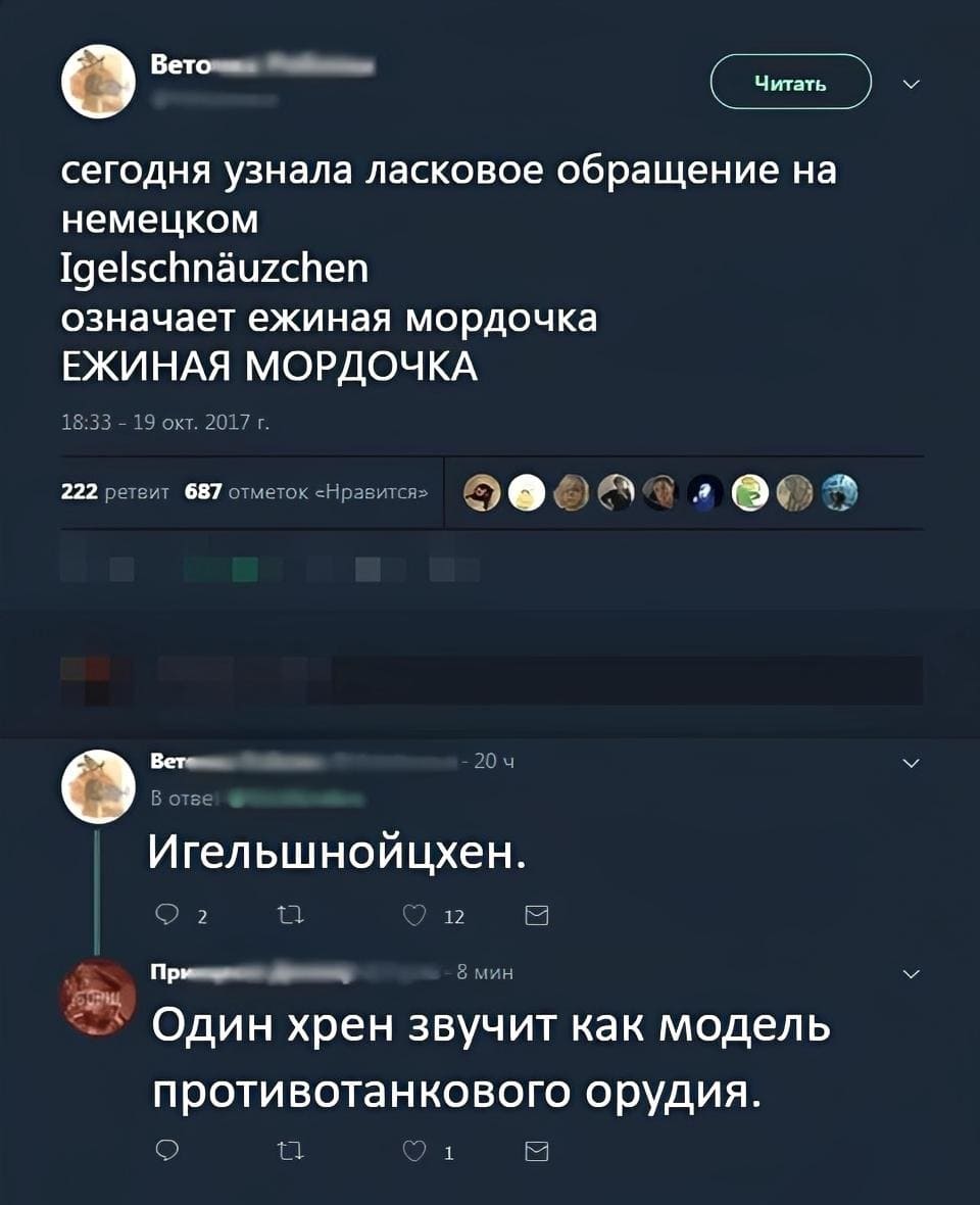 – Сегодня узнала ласковое обращение на немецком Igelschnauzchen означает ежиная мордочка. ЕЖИНАЯ МОРДОЧКА.
– Игельшнойцхен.
– Один хрен звучит как модель противотанкового орудия.