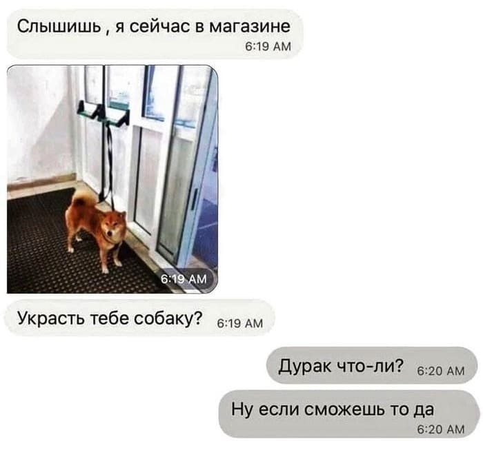 – Слышишь, я сейчас в магазине. Украсть тебе собаку?
– Дурак что-ли? Ну если сможешь, то да.