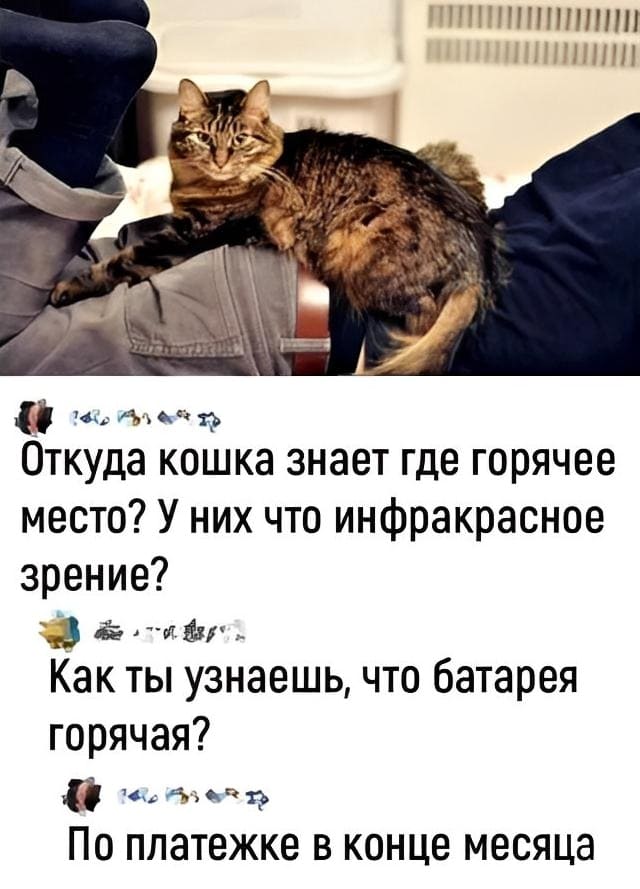 – Откуда кошка знает где горячее место? У них что инфракрасное зрение?
– Как ты узнаёшь, что батарея горячая?
– По платёжке в конце месяца.