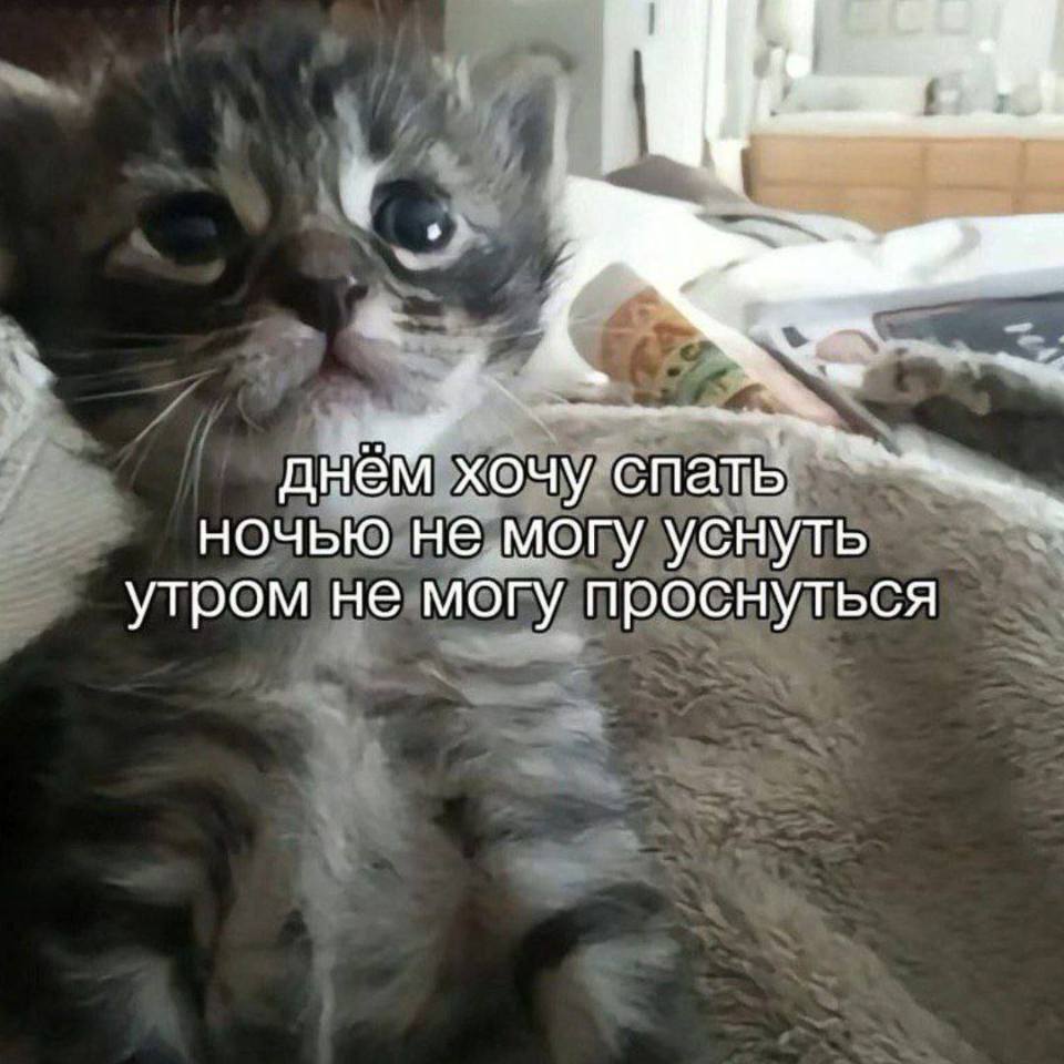днём хочу спать
ночью, не могу уснуть
утром не могу проснуться