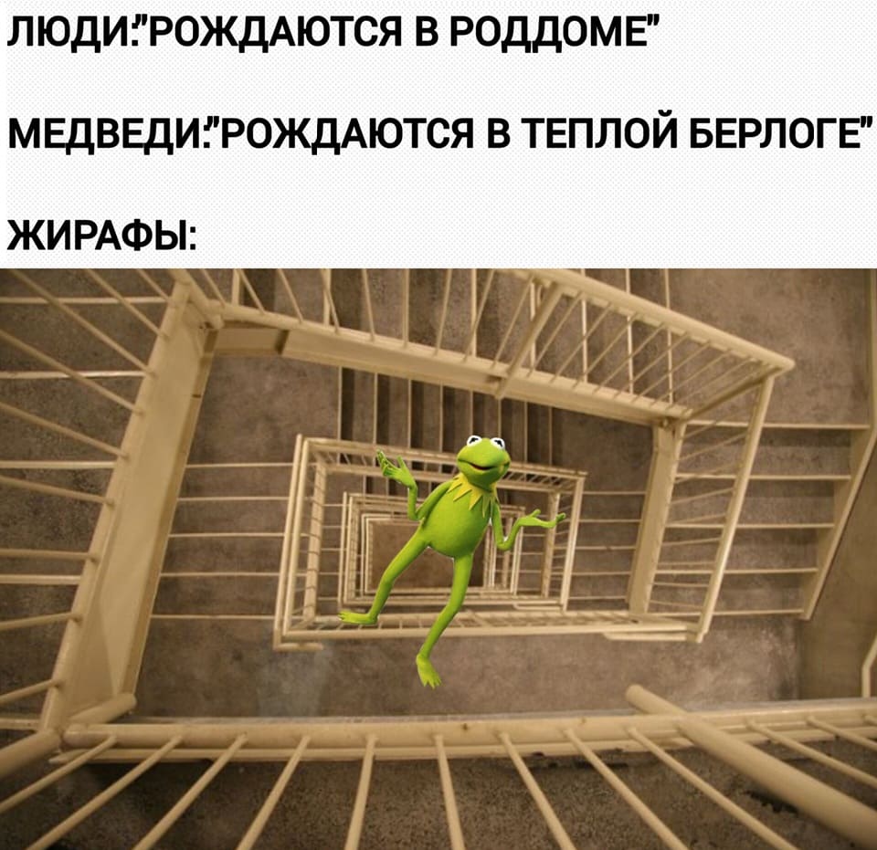 *Люди рождаются в роддоме*
*Медведи рождаются в теплой берлоге*
*Жирафы*