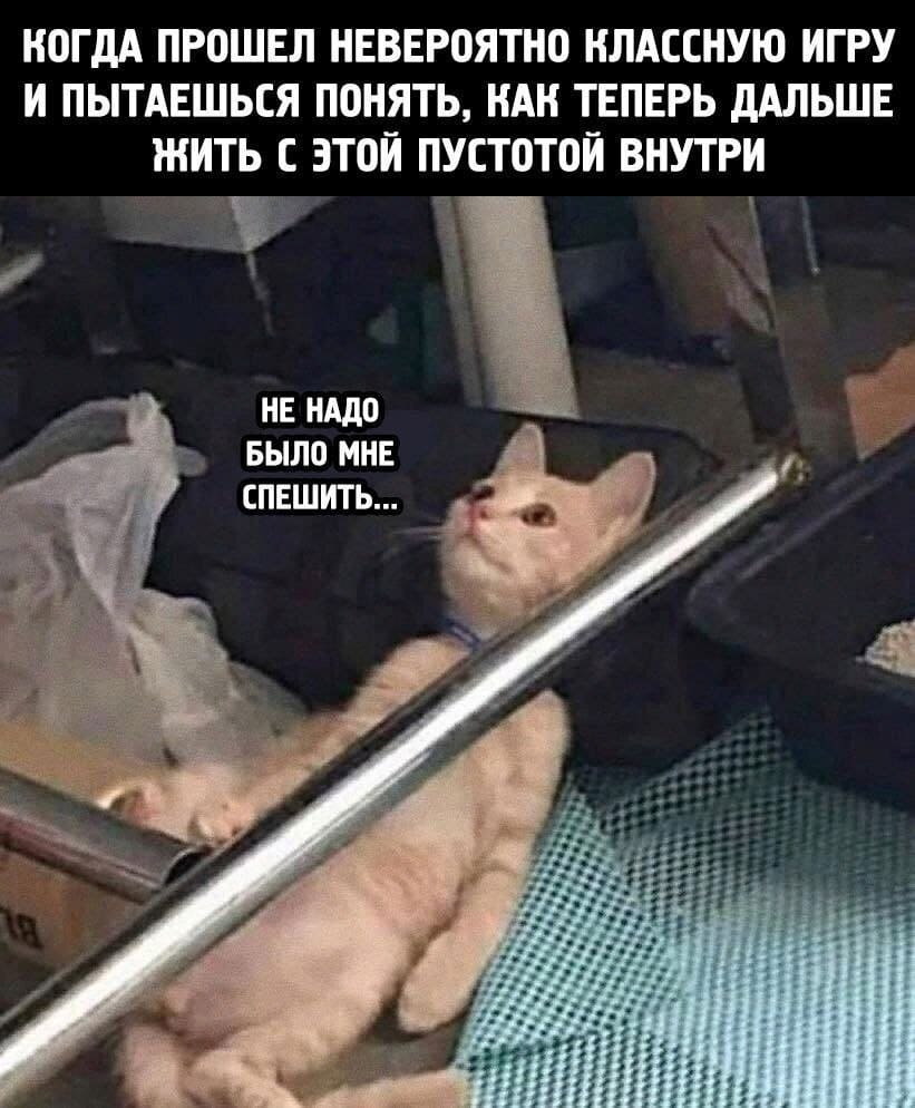 *Когда прошёл невероятно классную игру и пытаешься понять, как теперь дальше жить с этой пустотой внутри*
– Не надо было мне спешить...